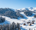 Explore Bakuriani Ski Resort | Updated Guide 2026