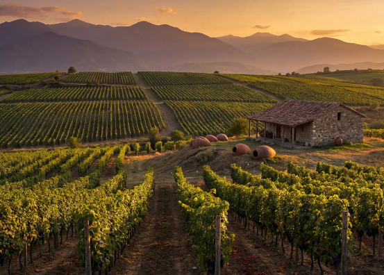 Винный Гид Грузии: 5 Лучших Винодельческих Региона 2026